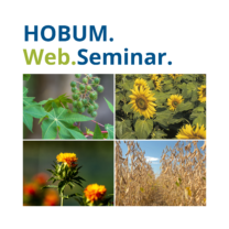 HOBUM. Web.Seminar.Webseite